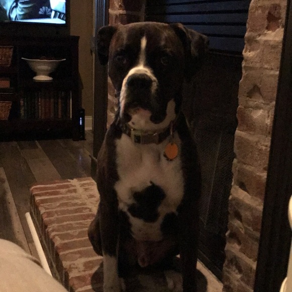 Meet your Posher, Jessica - Picture 1 of 2